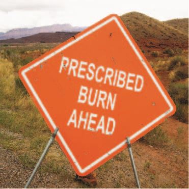 PrescribedBurn-370x370