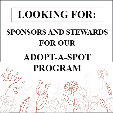 AdoptASpot_370x370