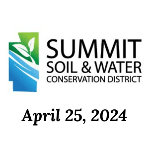 Public Notice - STORM SEWER EVALUATIONS UNDERWAY