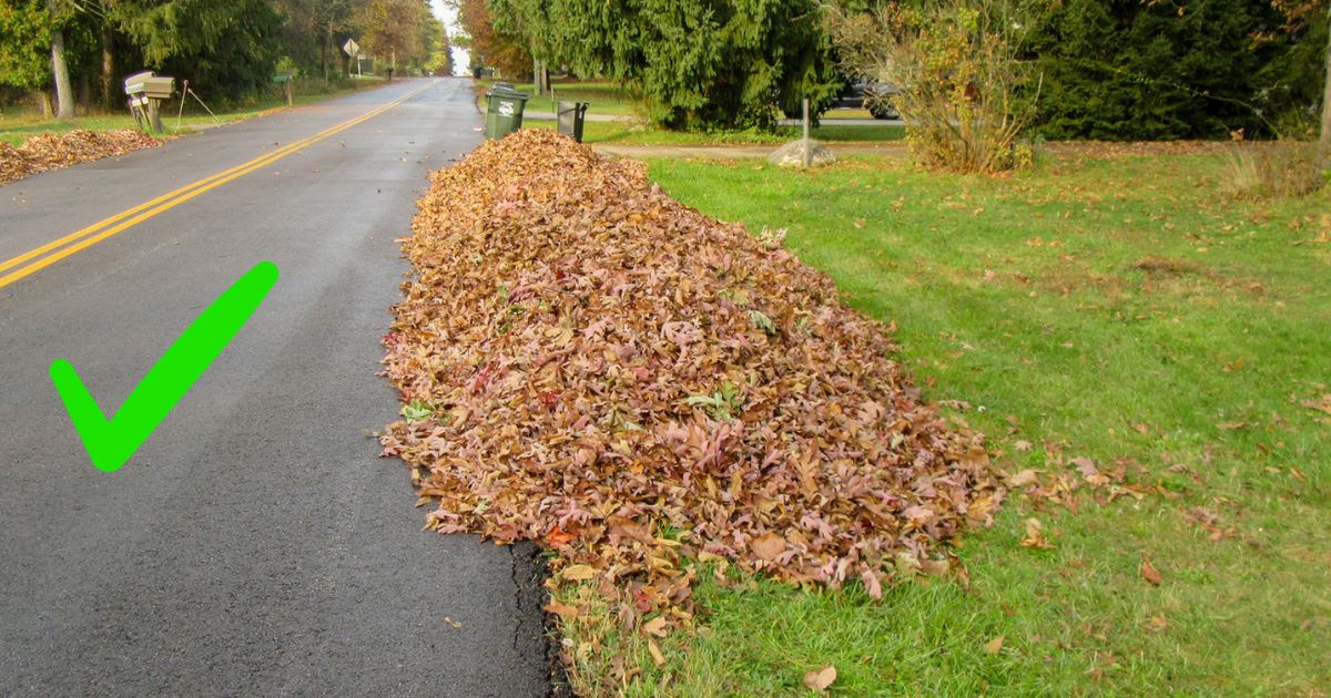 Leaf Piles - YES