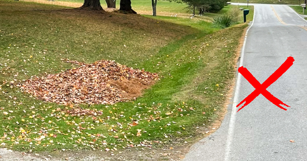 Leaf Piles - NO